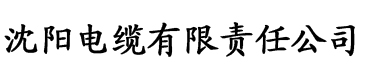 无码久久精品国产亚洲av影片电缆厂logo